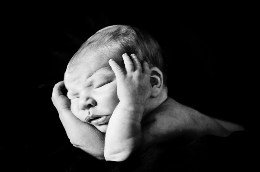 Newborn
